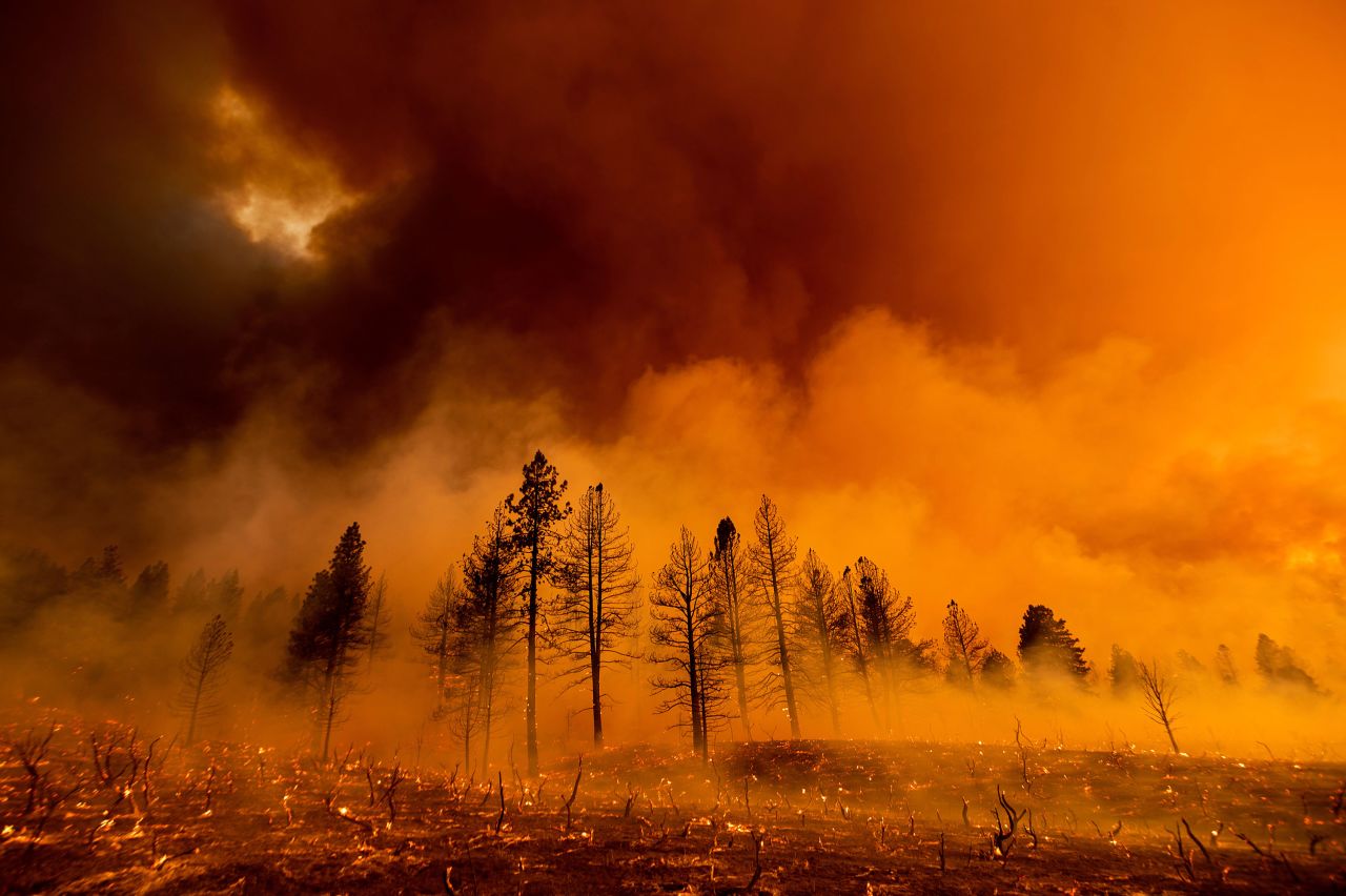 Smoke envelops trees as the Sugar Fire, part of the Beckwourth Complex Fire, burns in Doyle, California, on July 9.