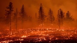 Embers blow across a field as the Sugar Fire, part of the Beckwourth Complex Fire, burns in Doyle, Calif., Friday, July 9, 2021. (AP Photo/Noah Berger)