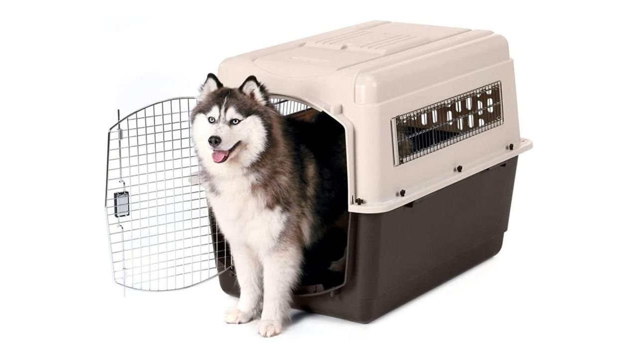 Pet Air Box Breathable Removable Washable Fashion Cat Car Plastic Kennel  Dog Carrier Crate - China Cat Carrier and Pet Kennel price