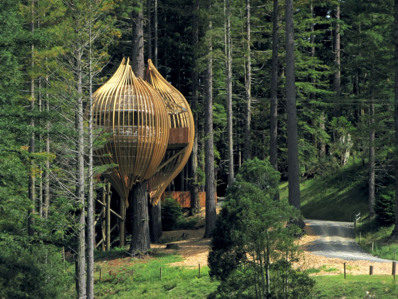 The Yellow Treehouse in New Zealand.