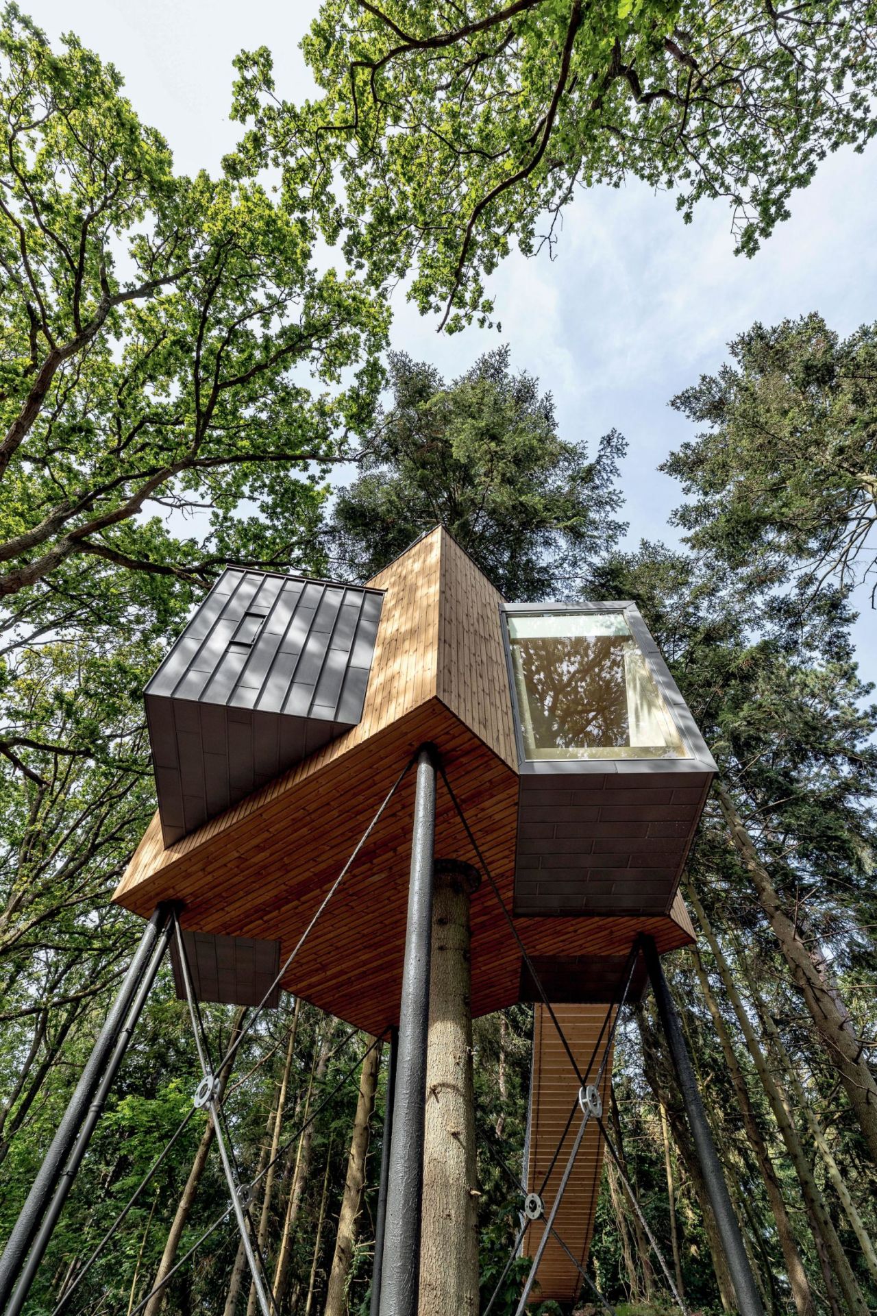 07 modern tree houses