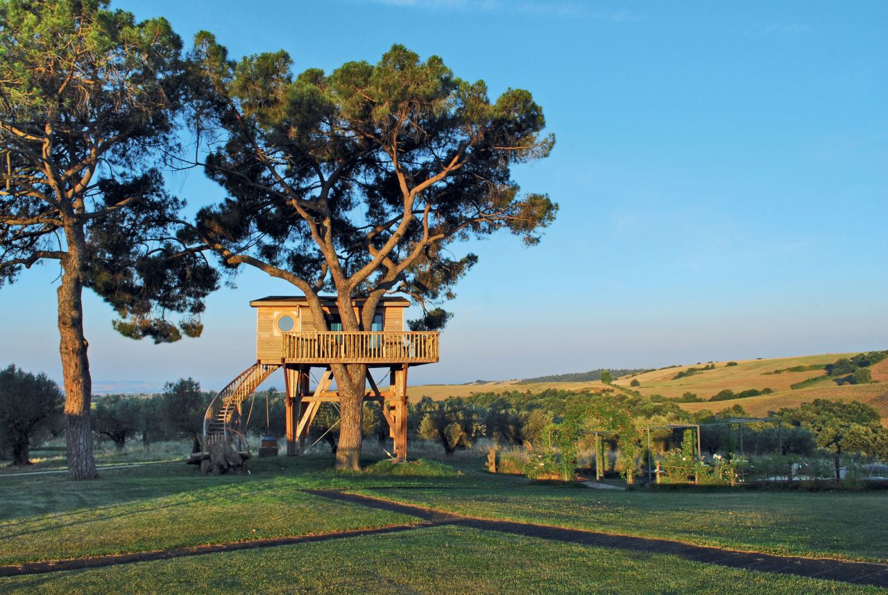 08 modern tree houses