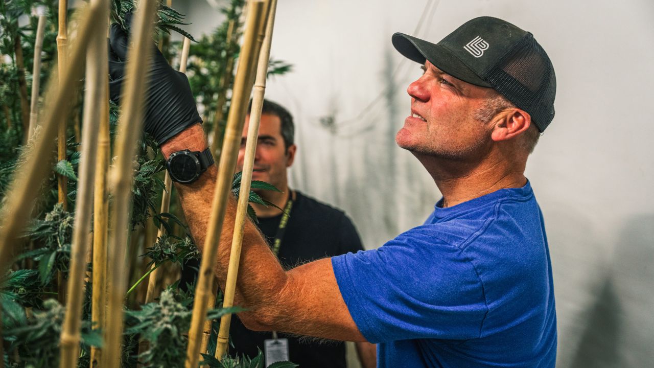 Dale Katechis, whose eponymous and top-selling Dale's Pale Ale revolutionized canned beers, has invested in and taken an active leadership role at Veritas Fine Cannabis, a boutique wholesaler specializing in cultivating and selling premium cannabis. Katechis (foreground) is pictured with Veritas CEO Mike Leibowitz.