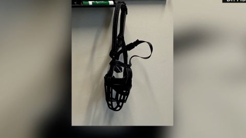 Fiscus said she was sent a dog muzzle before she was fired.