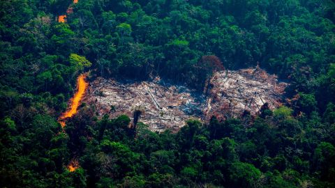 Aerial view of deforestation in the Menkragnoti Indigenous Territory in Altamira, Para state, Brazil on August 28, 2019.