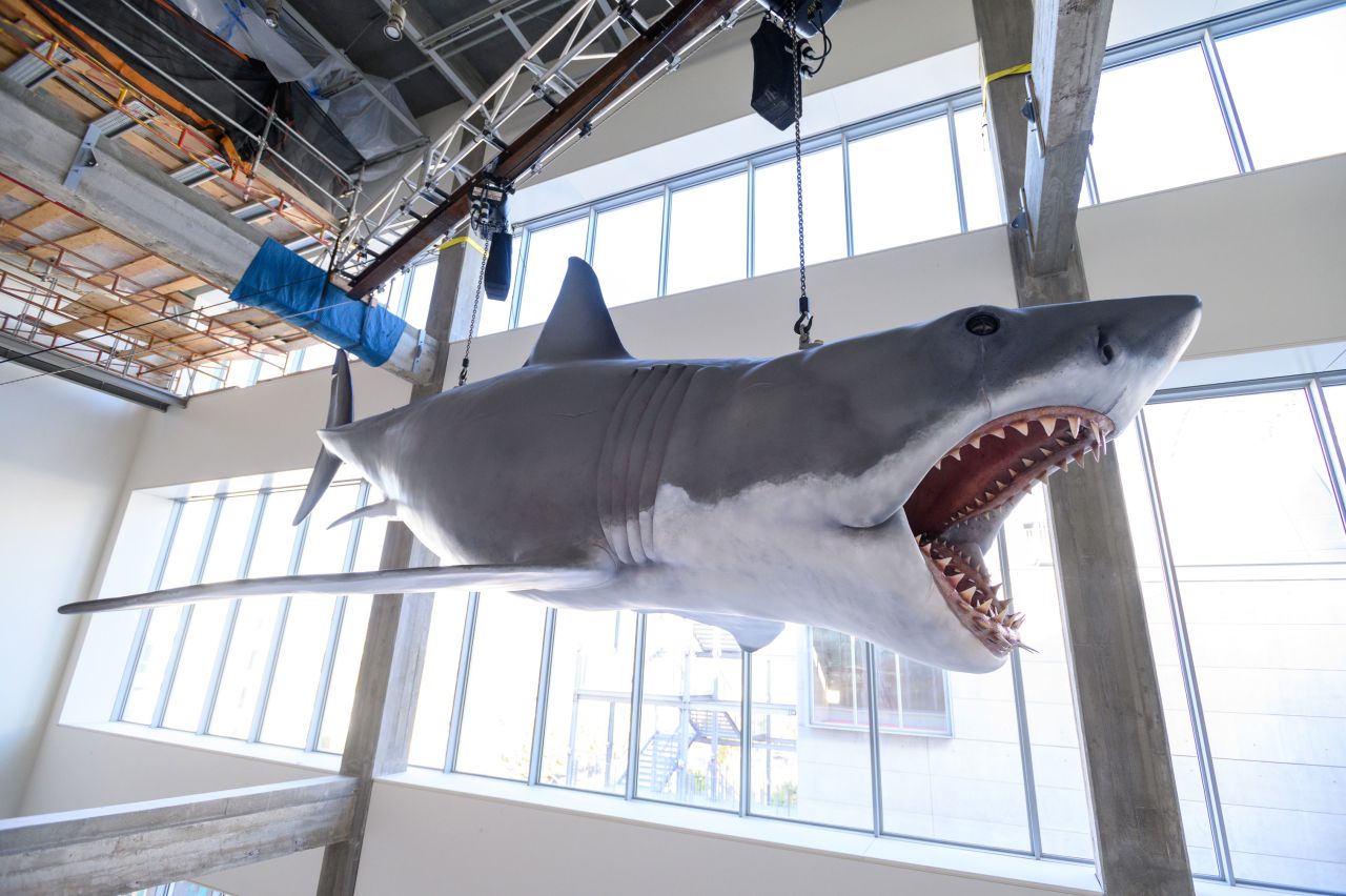 "Bruce the Shark" installation at the Academy Museum of Motion Pictures in Los Angeles.