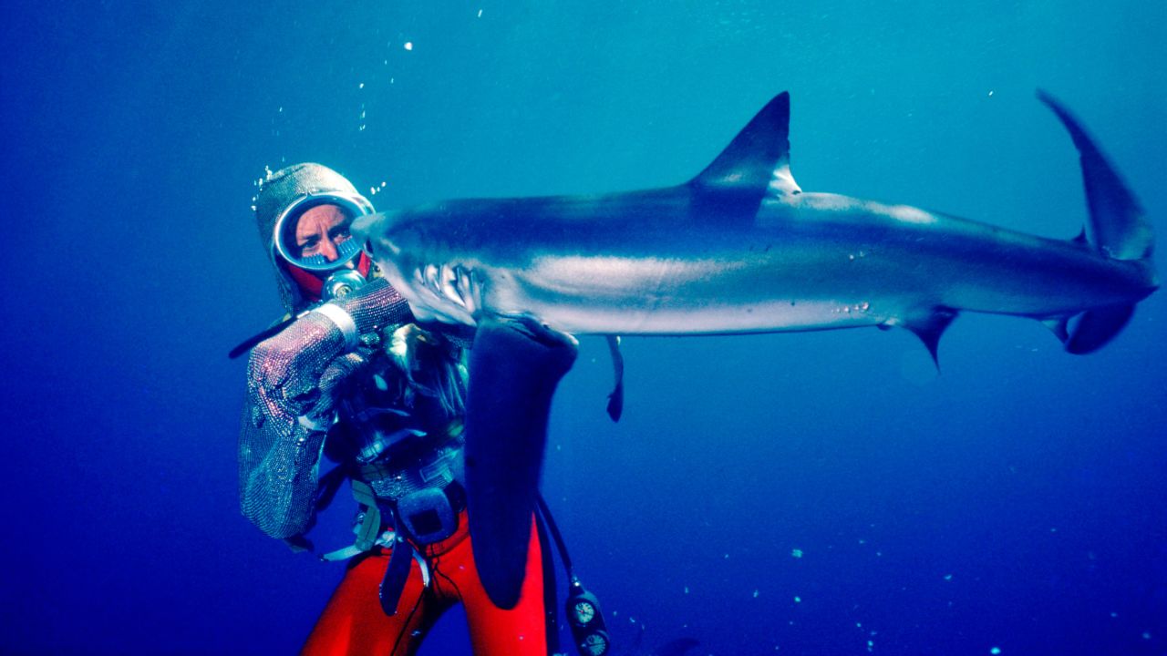 <strong>Underwater trailblazer:</strong> Pioneering Australian diver Valerie Taylor has developed such a strong understanding of sharks that she was pictured magazine with her arm in the mouth of an apex predator while wearing a chain mail suit in 1982.