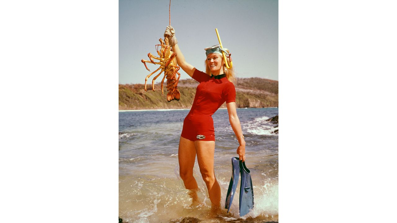 <strong>Hunting past: </strong>Taylor began spearfishing while she was in her 20s, but gave it up to focus on capturing marine life on camera with her husband Ron Taylor, who she married in 1963.