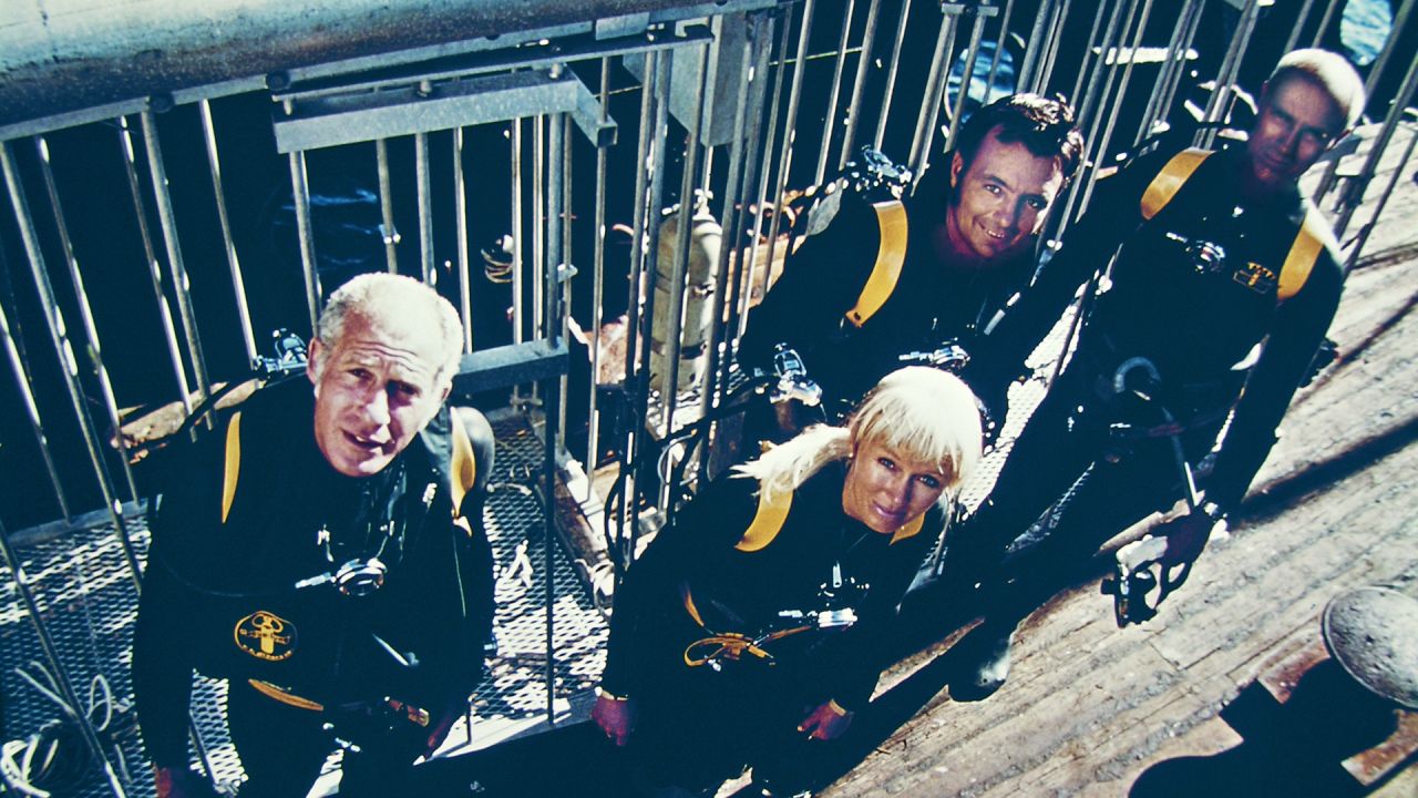 <strong>Hollywood offer: </strong>They got their big when they were asked to film live shark footage for the movie "Jaws," based on the novel by author Peter Benchley. Here Valerie and Ron Taylor are pictured in front of a shark cage with Benchley and cinematographer Stan Waterman.