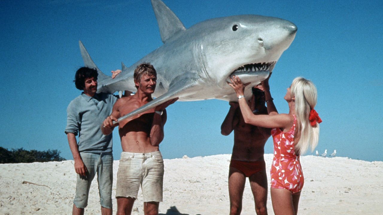<strong>Shark tales</strong>: Taylor's fascinating life is the subject of a new documentary from National Geographic Films,"Playing With Sharks."