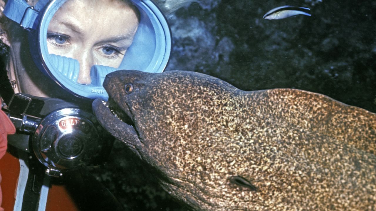 The couple filmed hours and hours of underwater footage over the years, including Taylor befriending a moray eel in 1970.