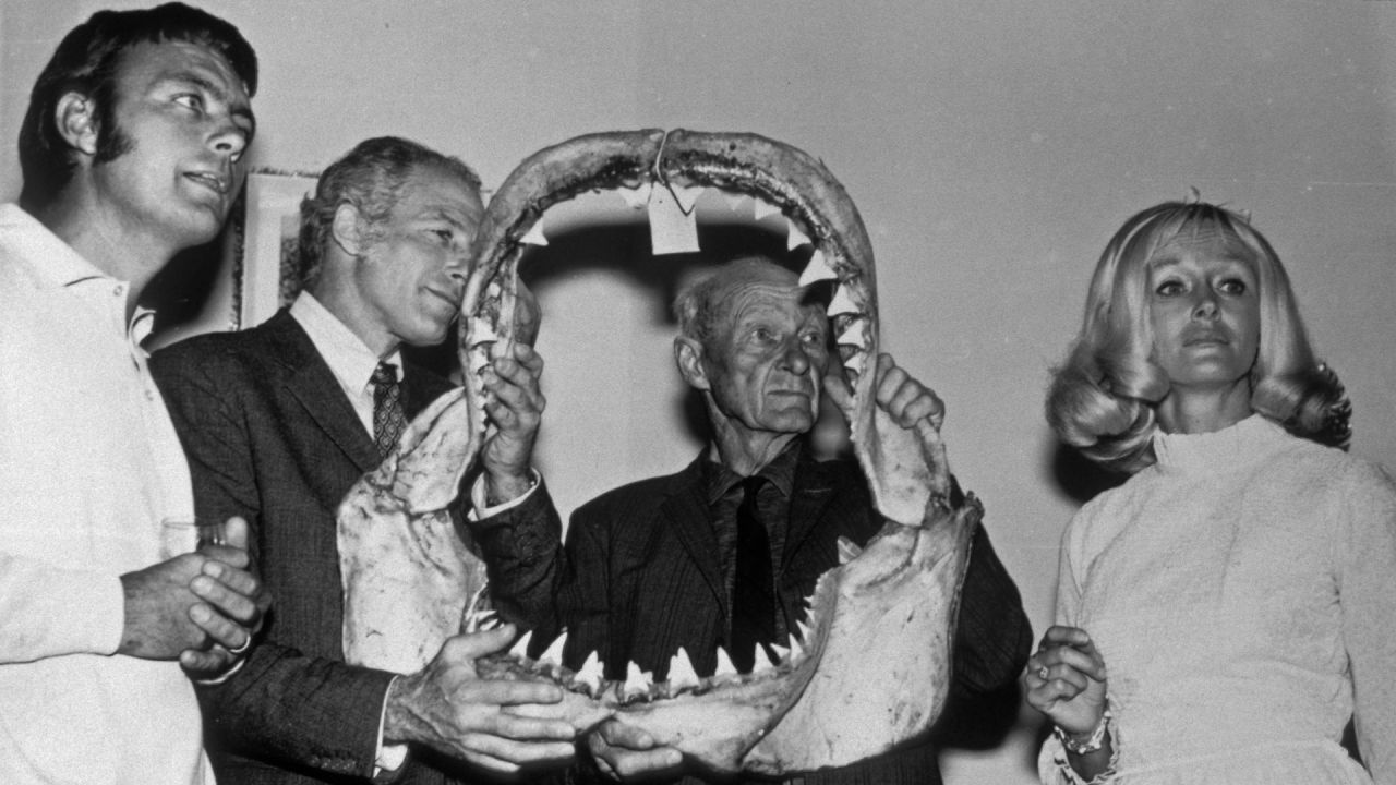 <strong>No brainer:</strong> "The best way to make money in those days, and probably even now still, was working for Hollywood," Taylor says of saying "yes" to working on "Jaws".