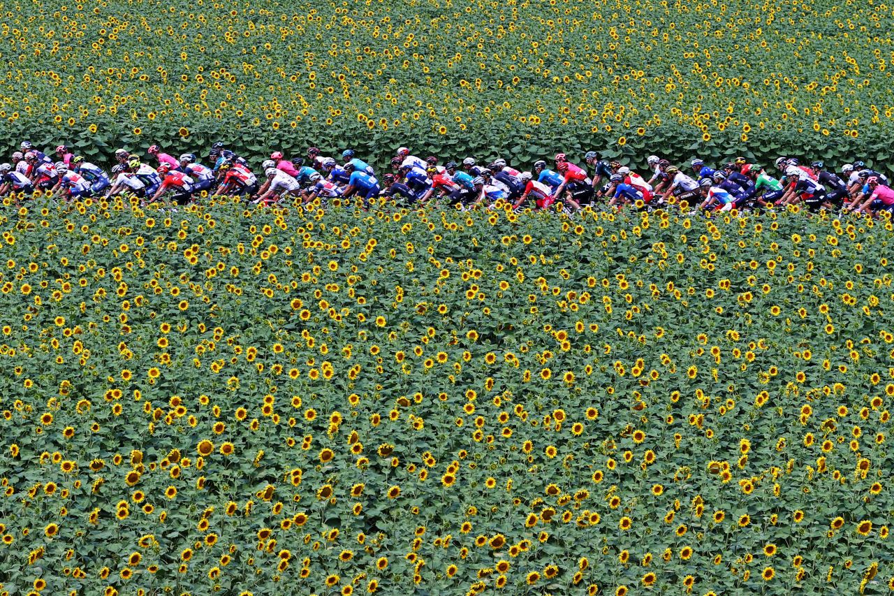Cyclists pass by sunflowers in Quillan, France, during the 14th stage of the Tour de France on Saturday, July 10.