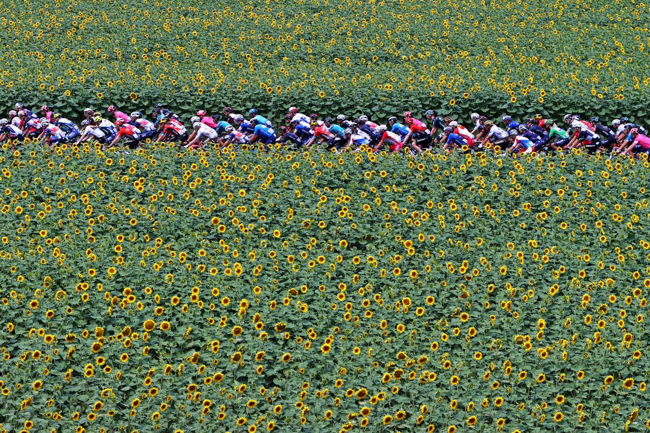 Cyclists pass by sunflowers in Quillan, France, during the 14th stage of the Tour de France on Saturday, July 10.