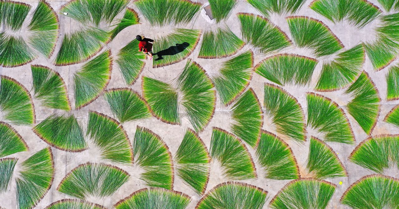 This aerial photo shows a villager drying matgrass in Taizhou, China, on Thursday, July 15.