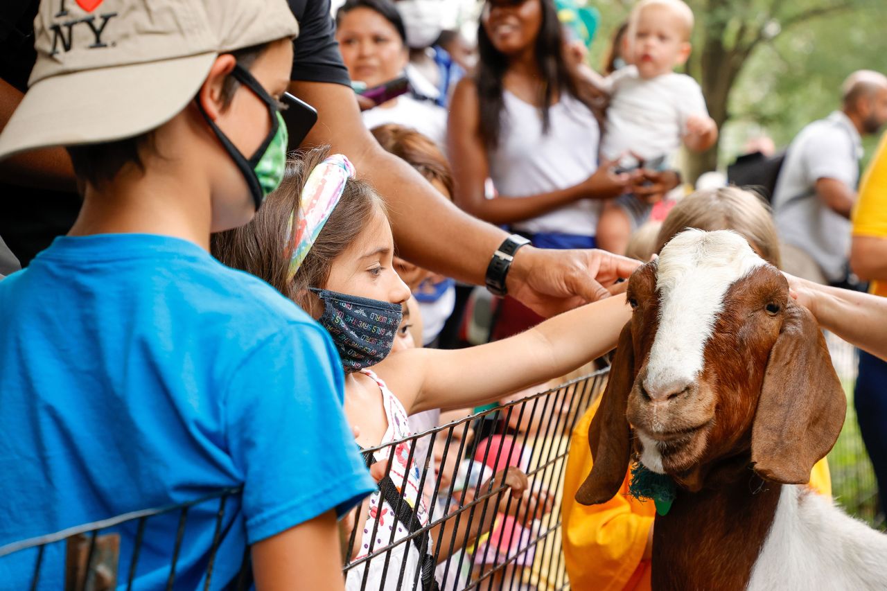 People pet a goat during the second-ever Running of the Goats, which took place in New York City's Riverside Park on Wednesday, July 14.