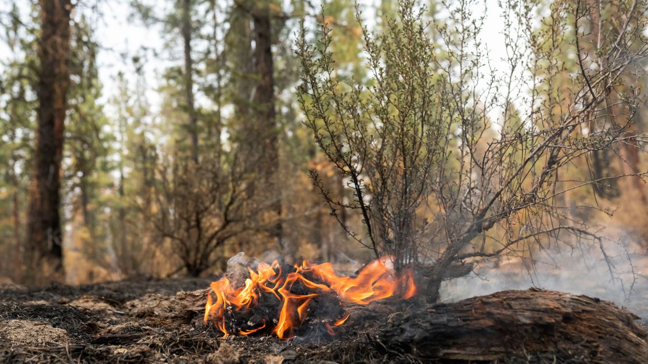 A hotspot flares up on the North East side of the Bootleg Fire on July 14, 2021.