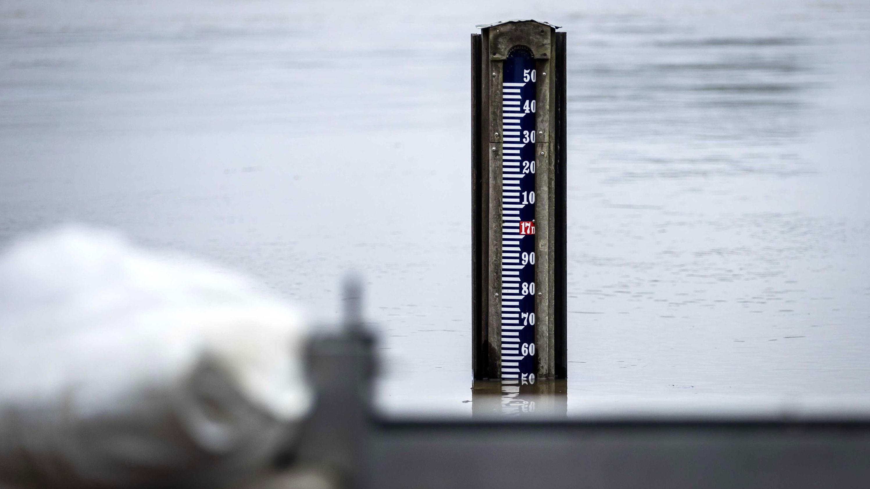 A water level gauge shows rising waters in Arcen, Netherlands, on Saturday. Dutch officials ordered the evacuation of 10,000 people in the municipality of Venlo, as the Meuse was rising there faster than expected.
