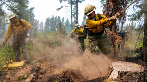 Firefighters dig away at hot spots underneath stumps and brush after flames from the Snake River Complex Fire swept through the area south of Lewiston, Idaho, on July 15.