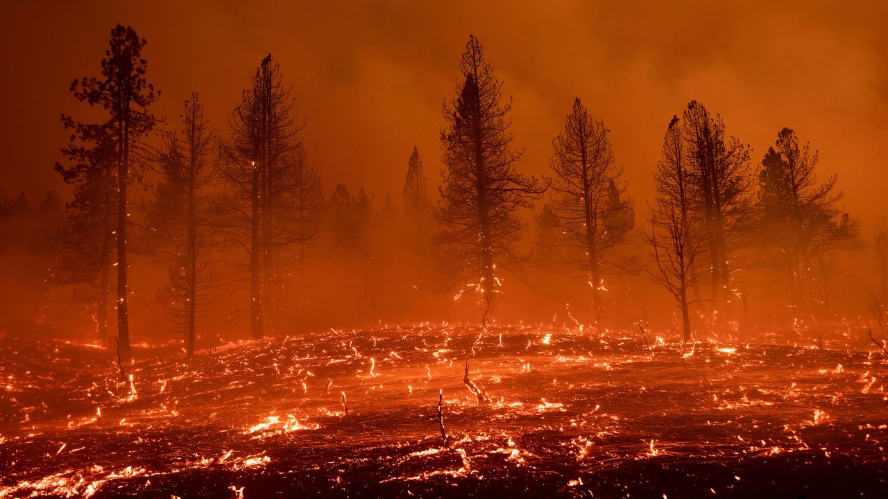 Embers blow across a field as the Sugar Fire, part of the Beckwourth Complex Fire, burns in Doyle, Calif., Friday, July 9, 2021. (AP Photo/Noah Berger)