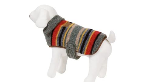 Pendleton Green Yakima Camp Dog Coat, X-Small