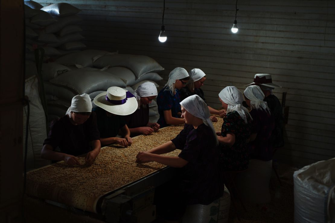 Mennonites, pictured here sorting beans, rely on commercial agriculture, despite their isolation from wider Belizean society. 