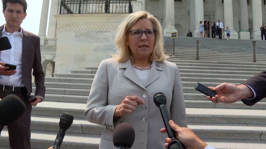 Liz Cheney 07212021