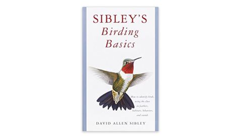 "Sibley's Birding Basics"