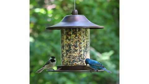 Panorama Bird Feeder