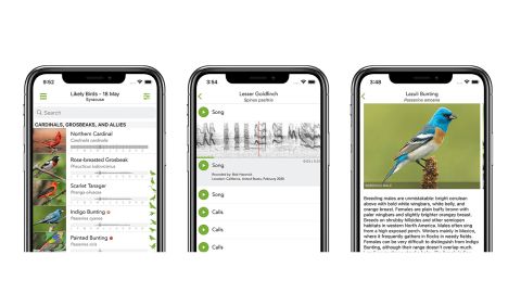 Merlin Smartphone App
