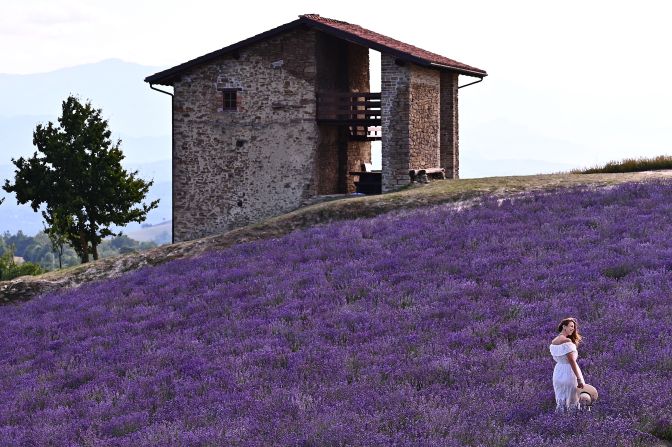 <strong>Italy:</strong> A woman stands in a lavender field in June 2021 in Sale San Giovanni, northwest Italy. Find out about current travel restrictions and the Covid situation in our <a href="index.php?page=&url=https%3A%2F%2Fcnn.com%2Ftravel%2Farticle%2Fitaly-travel-covid-19%2Findex.html" target="_blank">Italy guide</a>. 