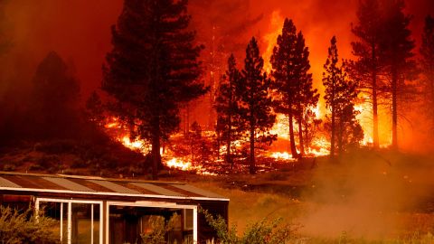 The Tamarack Fire burns in Alpine County, California, on Saturday, July 17.