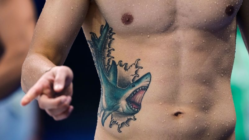 Tattoo of Sharks Chest Fish