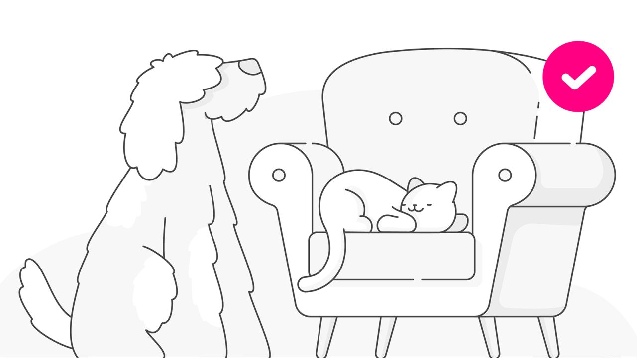lemonade pet insurance 1