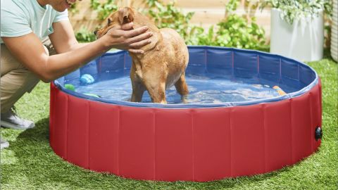 Frisco Large Outdoor Dog Swimming Pool, Red