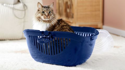 Frisco Top Loading Cat Kennel, Navy