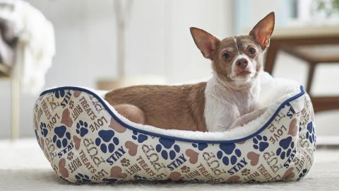 Frisco Sherpa Rectangular Bolster Cat & Dog Bed, Tan Novelty Paws, Small
