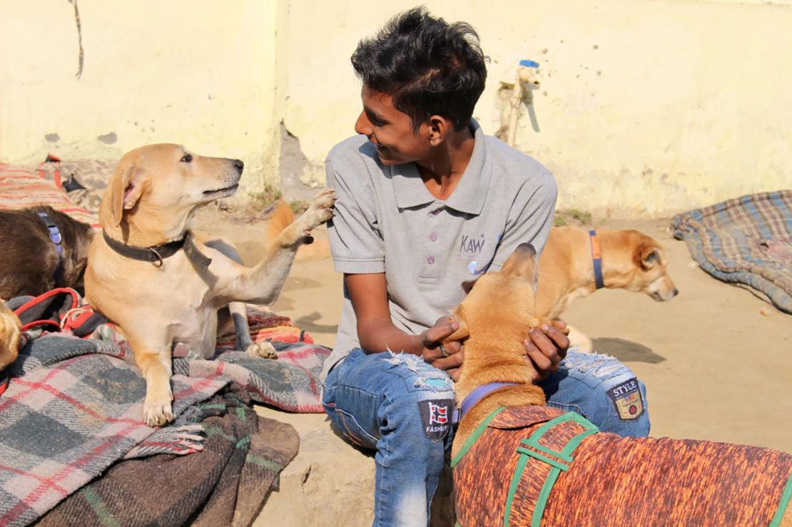 An employee at KAW interacts with rescued strays at the KAW shelter. 