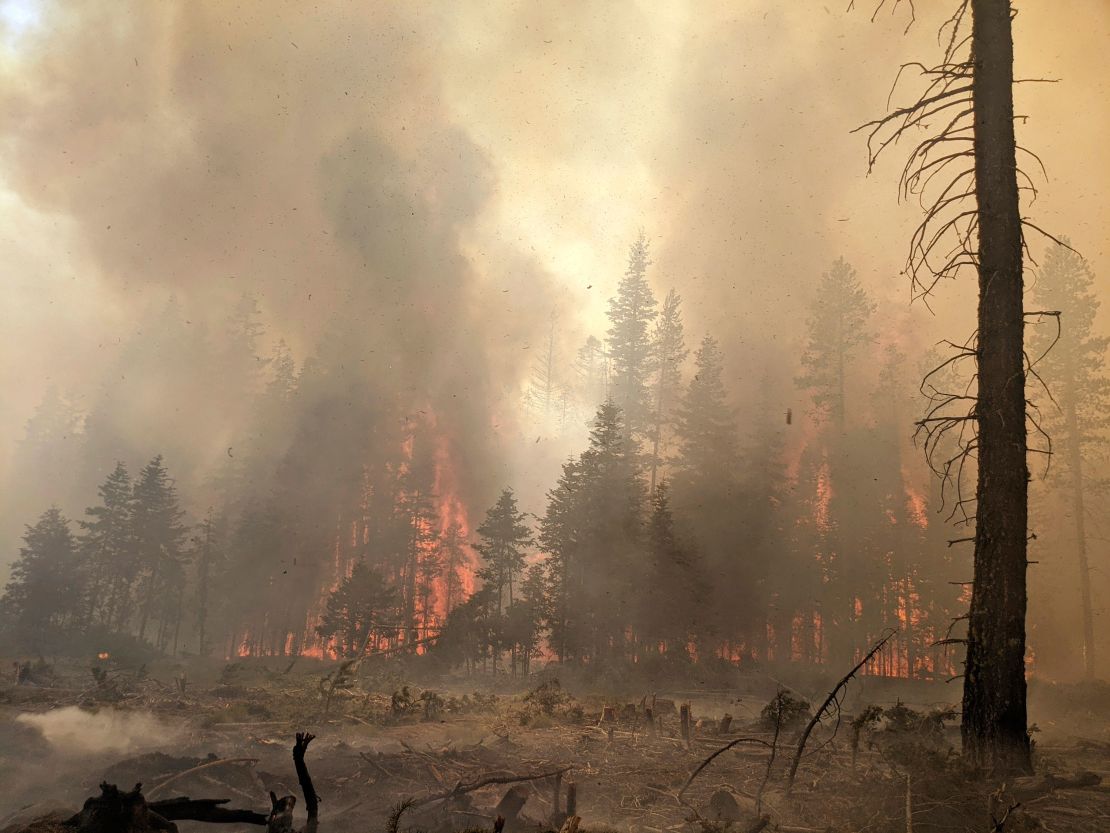 In this photo provided by the Bootleg Fire Incident Command, trees burn in southern Oregon.