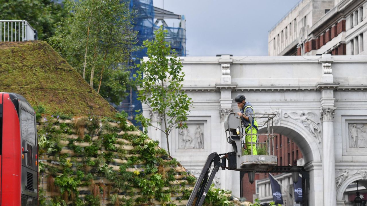 The landscaping is far from the lush foliage that was promised.