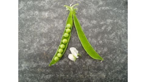 Growing to around 1 meter tall, the hardy Cockpit pea is believed to have last been commercially available nearly two decades ago, and was donated to the Heritage Seed Library in 2008.