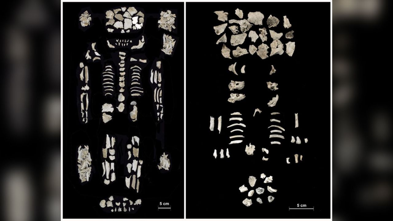 The cremated remains of a young woman (left) and her twin babies (right) were recovered from a 4,000-year-old grave in Hungary.