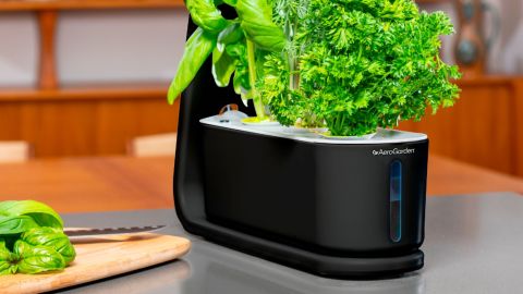 Aerogarden Sprout