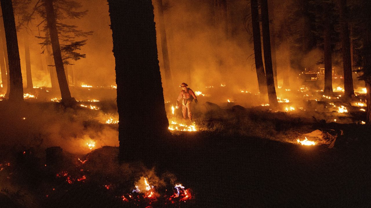 A firefighter uses a drip torch to ignite vegetation while trying to stop the Dixie Fire from spreading in Lassen National Forest on Monday. 