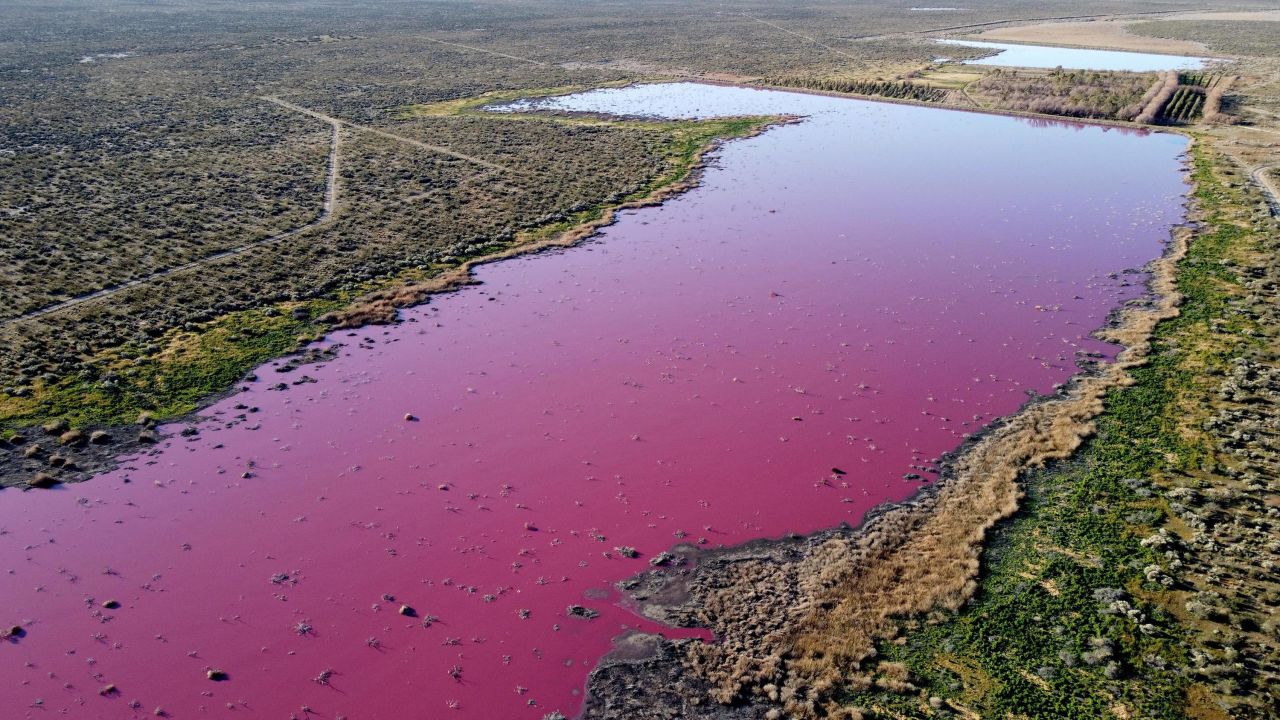 A lagoon near Trelew, Argentina, appears pink on Friday, July 23. Experts and activists <a href="https://www.cnn.com/videos/world/2021/07/26/pink-lagoon-trelew-argentina-ctw-vpx.cnn" target="_blank">say the water is pink because of pollution from a nearby factory.</a>