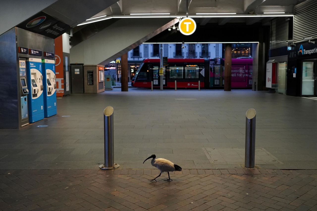 A bird walks inside a quiet train station during a Covid-19 lockdown in Sydney on Wednesday, July 28. The city's lockdown <a href="https://www.cnn.com/2021/07/28/australia/sydney-lockdown-extended-covid-19-intl-hnk/index.html" target="_blank">was extended by four weeks</a> on Wednesday.