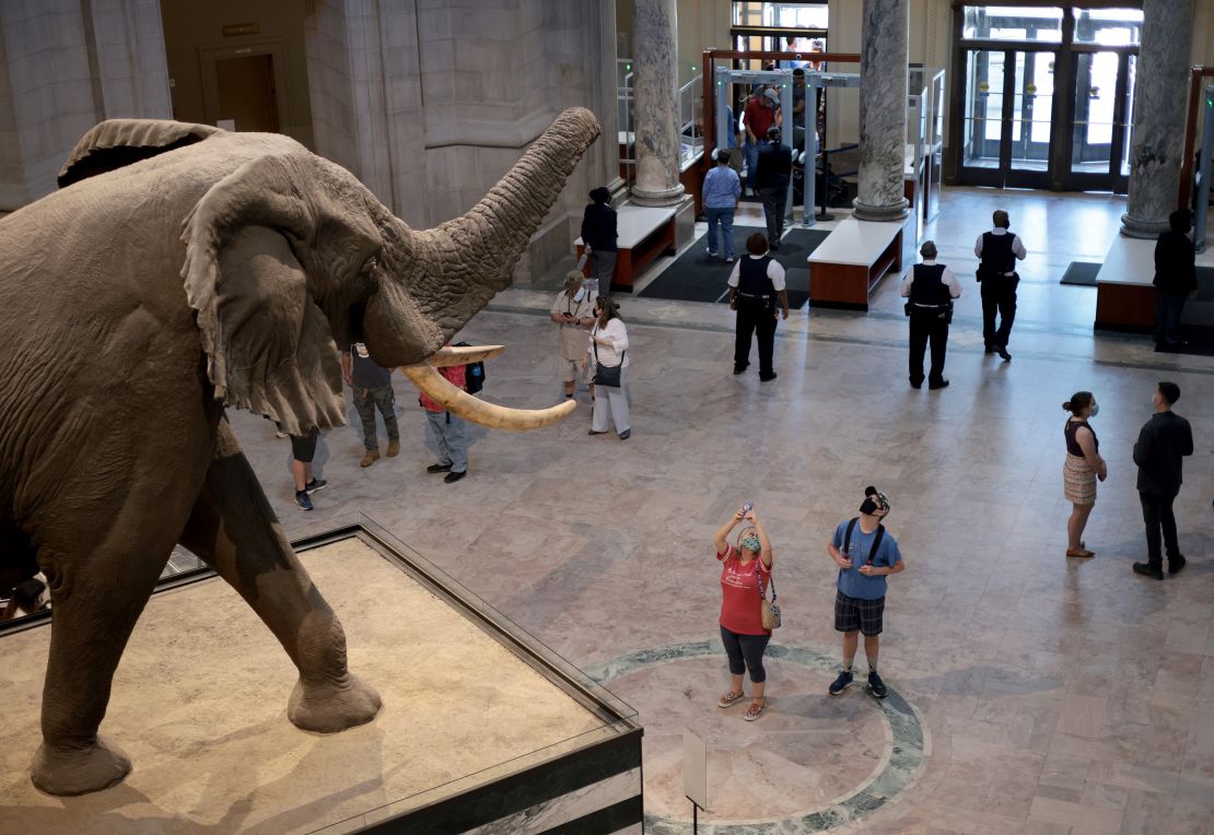 The Smithsonian National Museum of Natural History is a popular spot for tourists. 