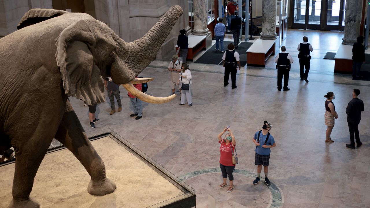 The Smithsonian National Museum of Natural History is a popular spot for tourists. 