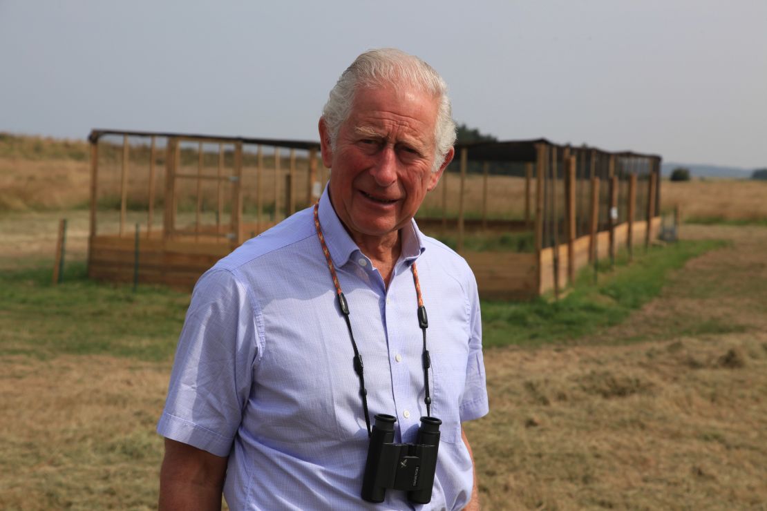 Prince Charles at Sandringham during the release of a threatened species of bird.