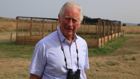 Prince Charles at Sandringham during the release of a threatened species of bird.